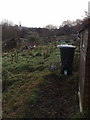 Grants Meadow  allotments, Colchester