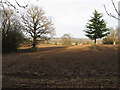 Ploughed field NW of Warninglid