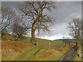 Farmland in the Towy Valley