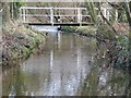 Footbridge, North Poulner