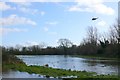 Flooding in the Frome Valley