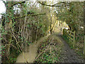 Ditch and Public Footpath, Holdingham