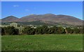J3520 : Towards the Mourne mountains by Rossographer