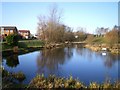 Pool at Fibbersley Nature Reserve