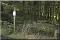 Footpath entrance to Delph Wood