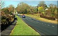 The Belfast road near Downpatrick