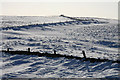 NY7943 : Snow drifts at Killhope Cross by Helen Wilkinson