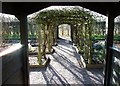 Herb garden, Stafford Castle.