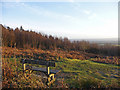 Scearn Bank, Limpsfield Chart, Surrey