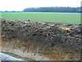 Ditch and field, near Marston Meysey