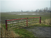 SE9719 : Field Gate on Bridge Lane by David Wright