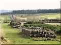 NY8871 : Hadrian's Wall between Limestone Corner and Black Carts (7) by Mike Quinn