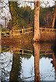 Moat reflections