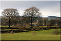 Countryside near Skip Cottage