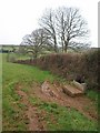 Drinking trough near Bramble End