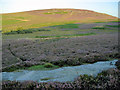 Rock outcrop in the heather of Garleigh Moor