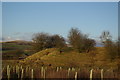 Overgrown bing east of Shiel