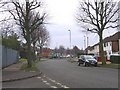 Birdbrook Road Looking towards Dyas Road