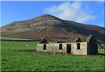 J3422 : Ruined cottage beneath Slieve Binnian by Mr Don't Waste Money Buying Geograph Images On eBay
