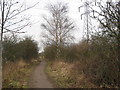 Blackwell Trail and Pylon near Commonside