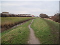 Footpath beside the Birket