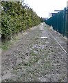 Footpath behind Alder School