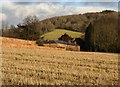 Terhill: walled garden and coach house