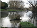 Eton Wick: Confluence of Roundmoor Ditch with Cress Brook