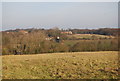 Looking towards Tyler Hill from the track to Little Hall Farm