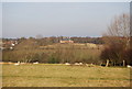 Oast House, Tyler Hill, across the valley