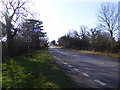 TM4286 : A145 London Road, Weston by Geographer