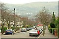 Ulsterville Avenue, Belfast (2)