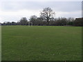 Testwood Playing Fields