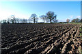 Ploughed field