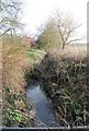 Small stream by Tyler Hill fishery