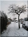 Footprints in the snow in Ludlow Road