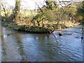 Ford near Milton on Stour