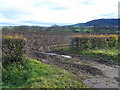 Field entrance off the A40