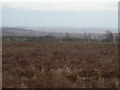 Waste ground on Mapperley Plains