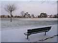 Winton: a bench at Winton Rec