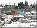 Allotments near the Great Central Way