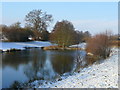 Winter pond scene near Bridstow