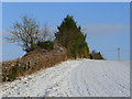 Field edge in the snow