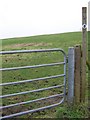 Bridleway to Tarrant Crawford