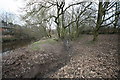 Old Leat next to River Wyre