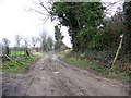 Bridleway near Tarrant Crawford