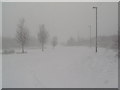 Fern close, Pen y fan industrial estate during a blizzard