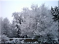 Snowy morning looking over new mill