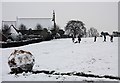 Snowball on Poolbrook Common