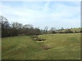 Moated site, Garshall Green